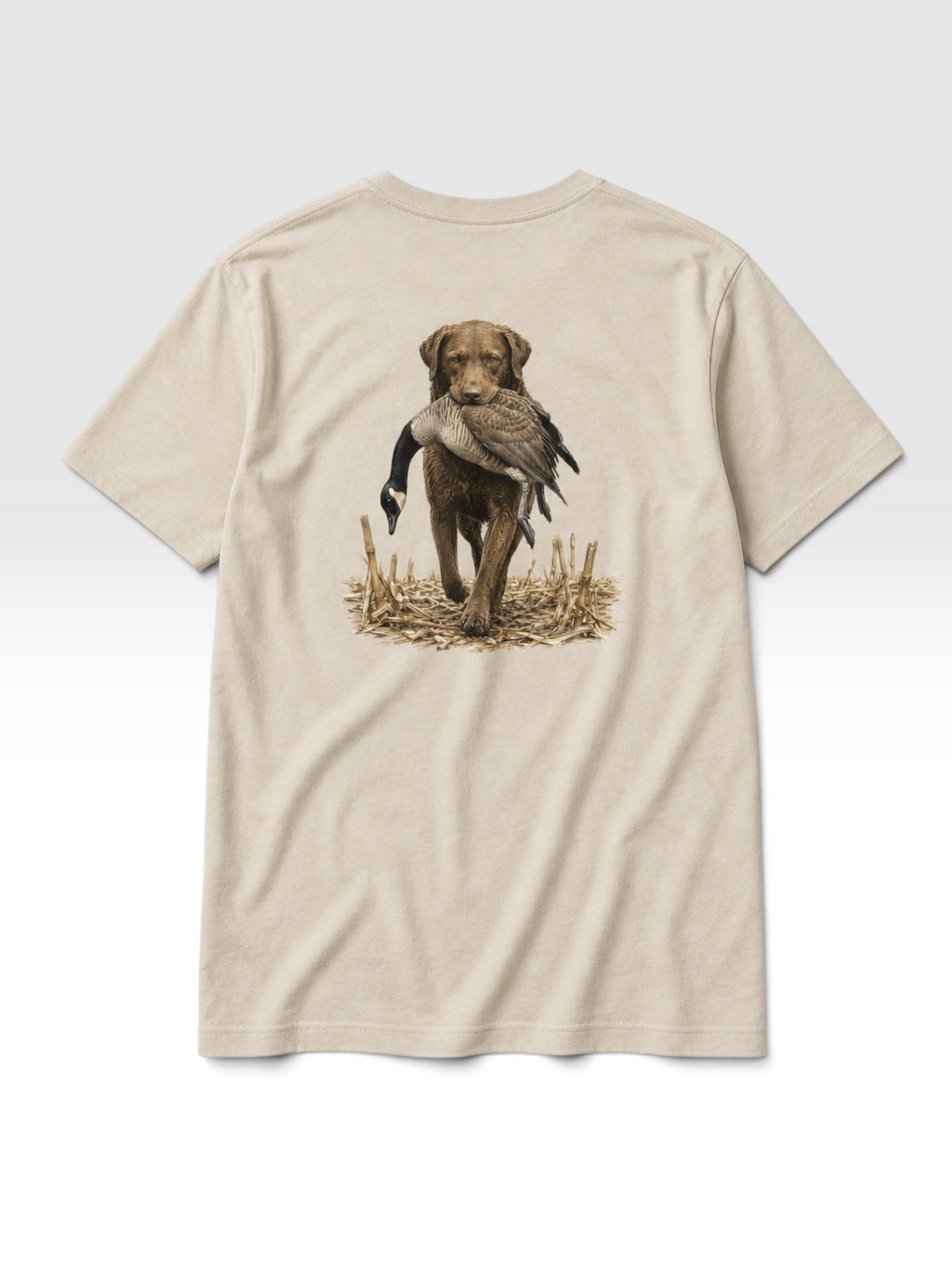 Chesapeake Retriever Tee