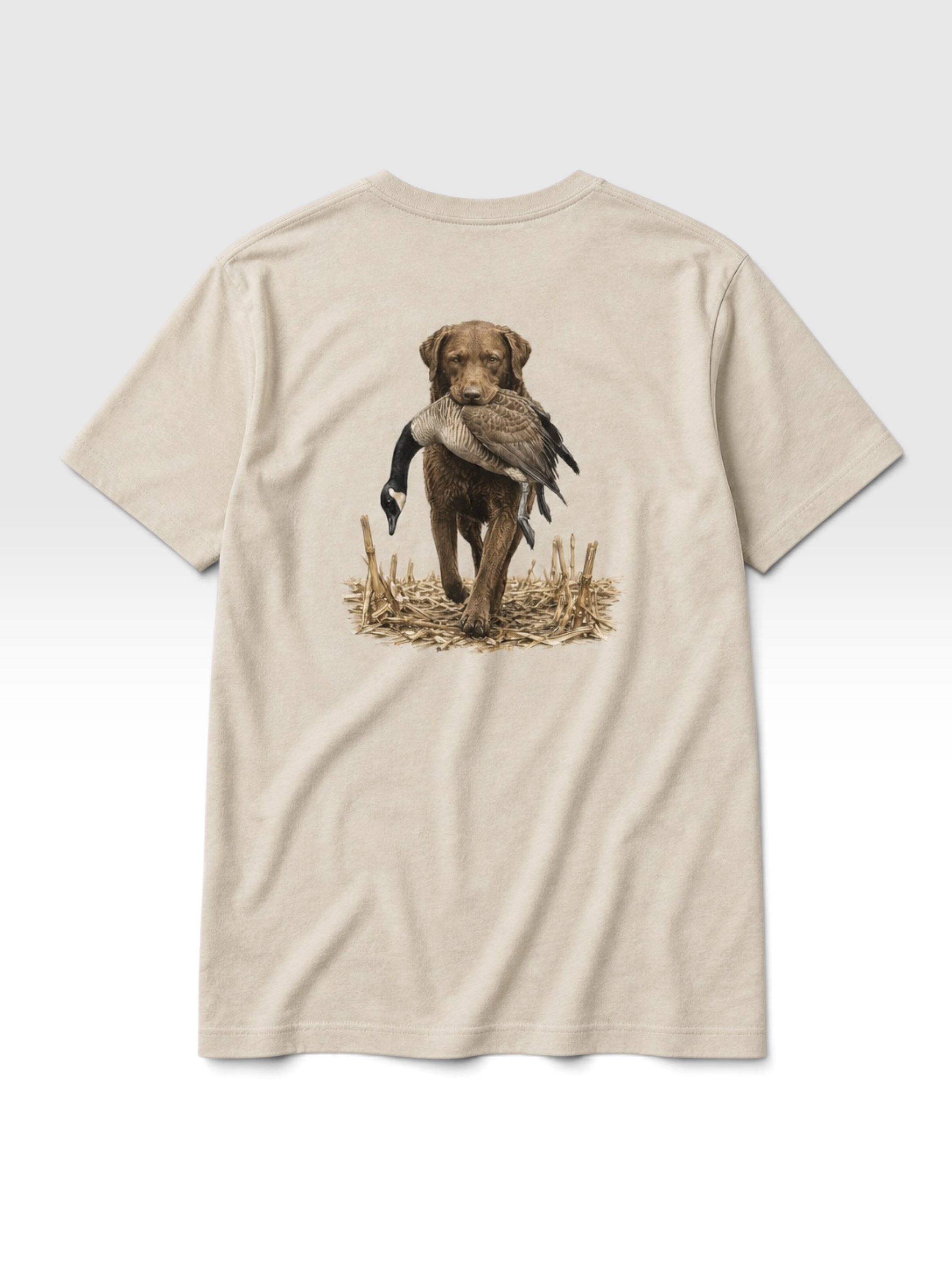 Chesapeake Retriever Tee